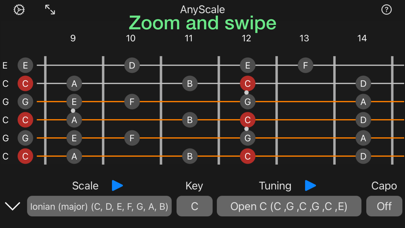 AnyScale – Tunings & Scales screenshot