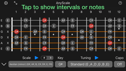 AnyScale – Tunings & Scales screenshot