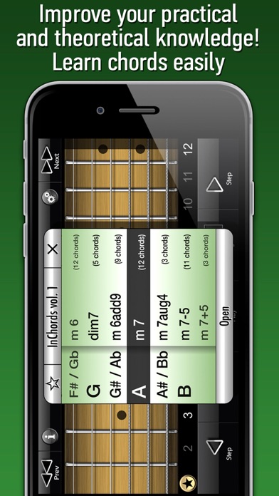 International Guitar Chords screenshot