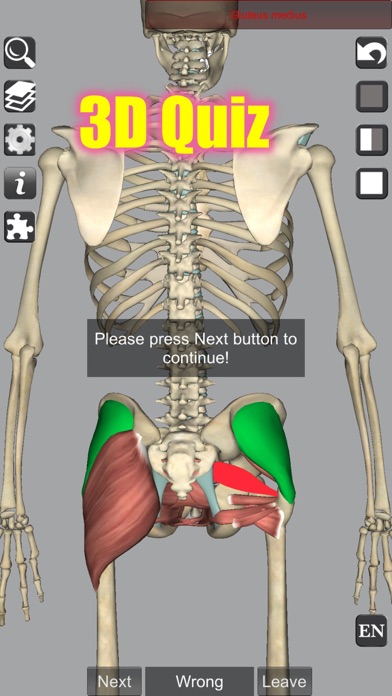 3D Anatomy screenshot