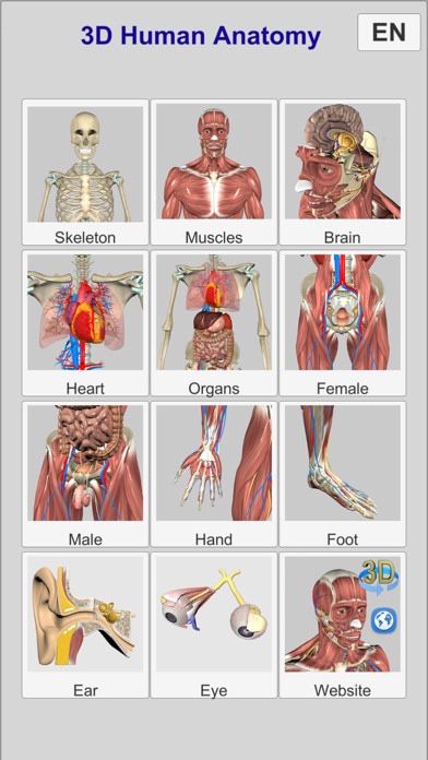 3D Anatomy screenshot