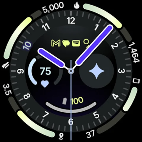 Wayfarer Watch Face screenshot