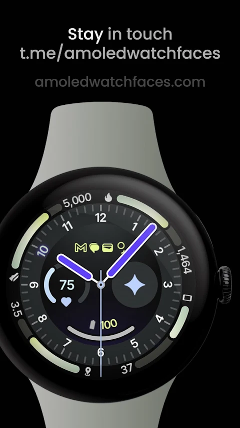 Wayfarer Watch Face screenshot