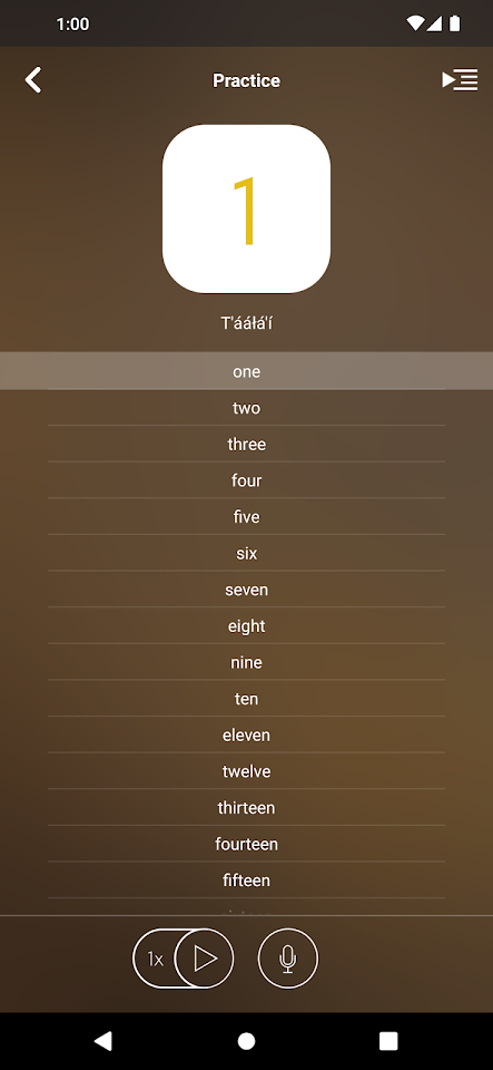 Learn Navajo screenshot