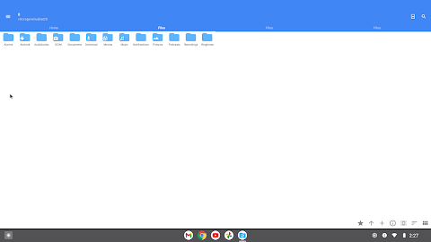 FV File Pro screenshot