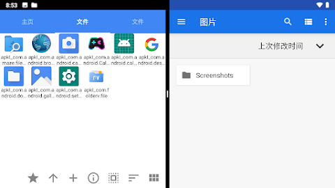 FV File Pro screenshot