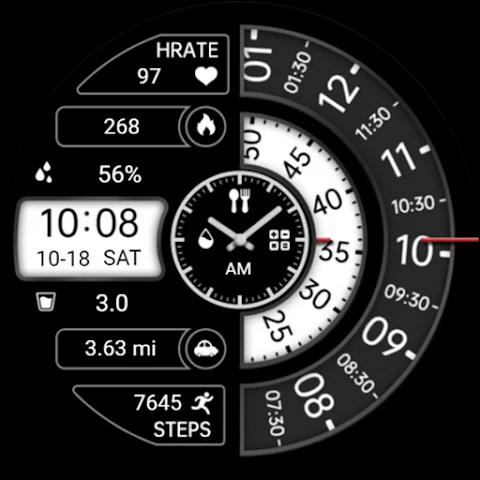 Dual Turntable ZKin Watch screenshot
