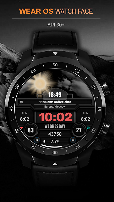 WFP 211 Weather animated watch screenshot