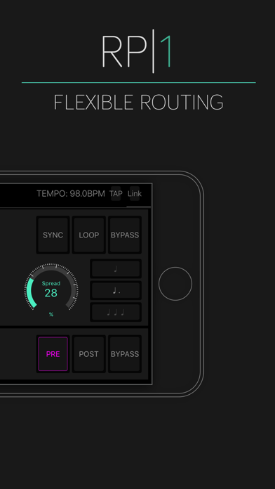 RP-1 Delay screenshot