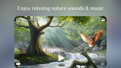 Flowing ~ Meditation in Nature screenshot
