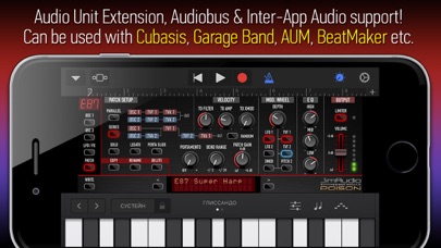 Poison-202 Vintage Synthesizer screenshot