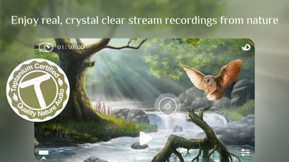 Flowing 2 ~ Sleep Sounds Relax screenshot