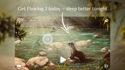 Flowing 2 ~ Sleep Sounds Relax screenshot