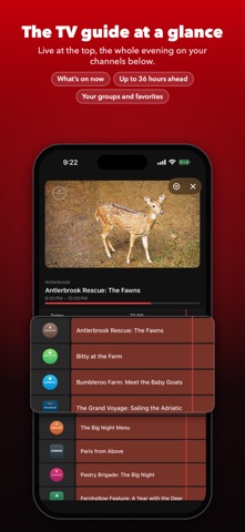 iProTV: IPTV Player screenshot