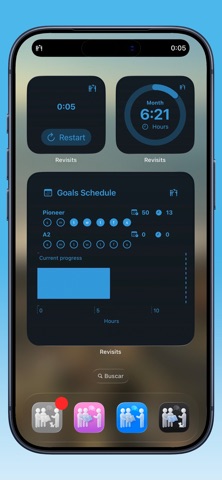 Revisits – Service Reports screenshot