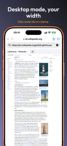 Kiosk — Editable Browser screenshot