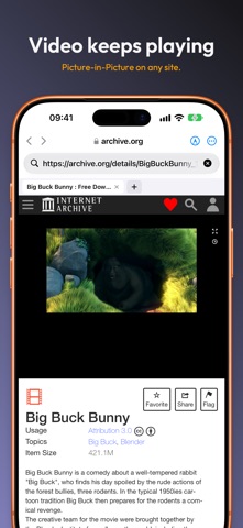 Kiosk — Editable Browser screenshot