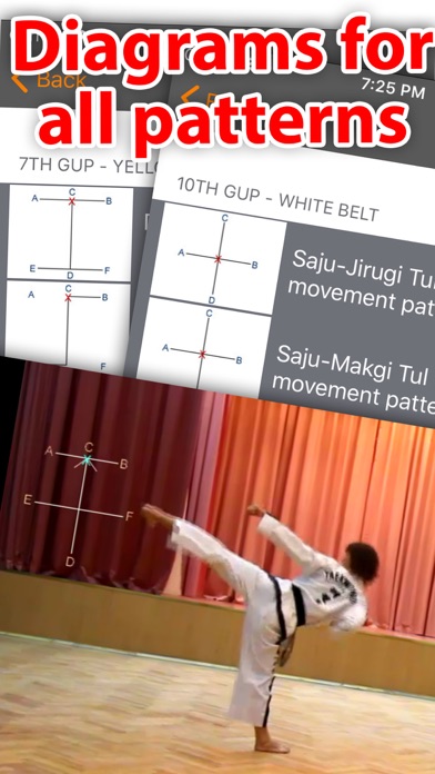 ITF Taekwon-Do Tuls & Patterns screenshot