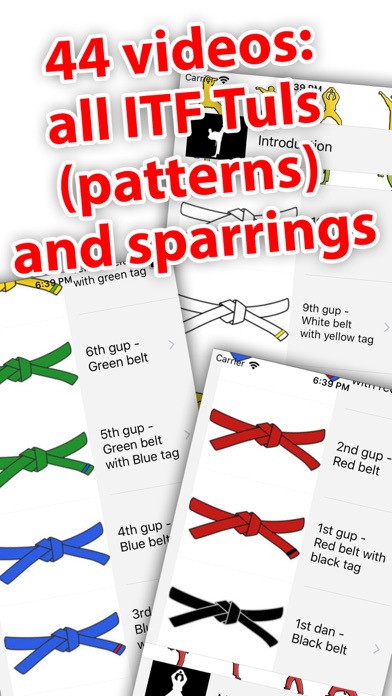 ITF Taekwon-Do Tuls & Patterns screenshot
