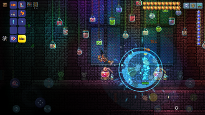 Terraria screenshot