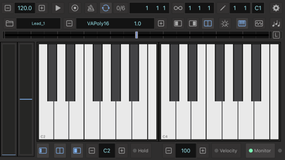 VAPoly16 screenshot