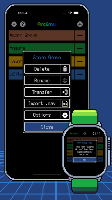 ArcEmu screenshot