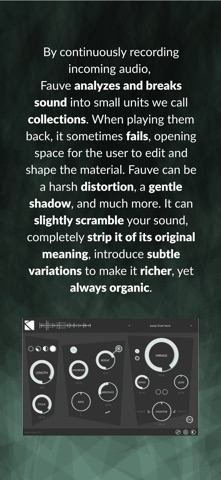 Fauve : flawed reconstructor screenshot