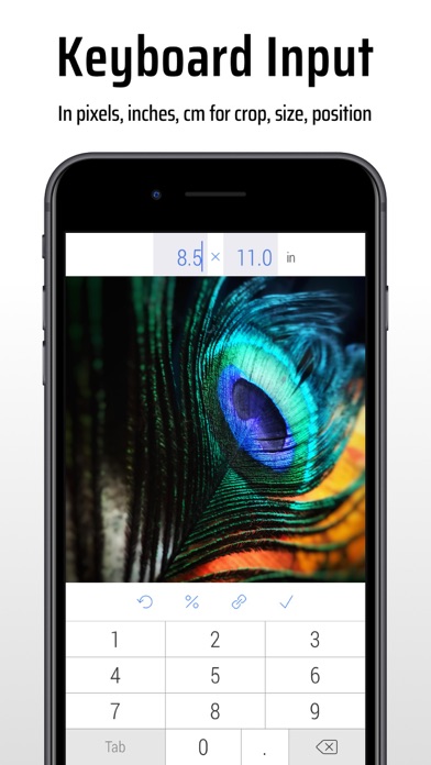 CropSize: Image Resizer Editor screenshot