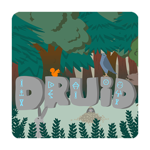 Druid screenshot