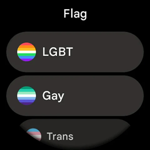 Pride Flag Watch Face screenshot