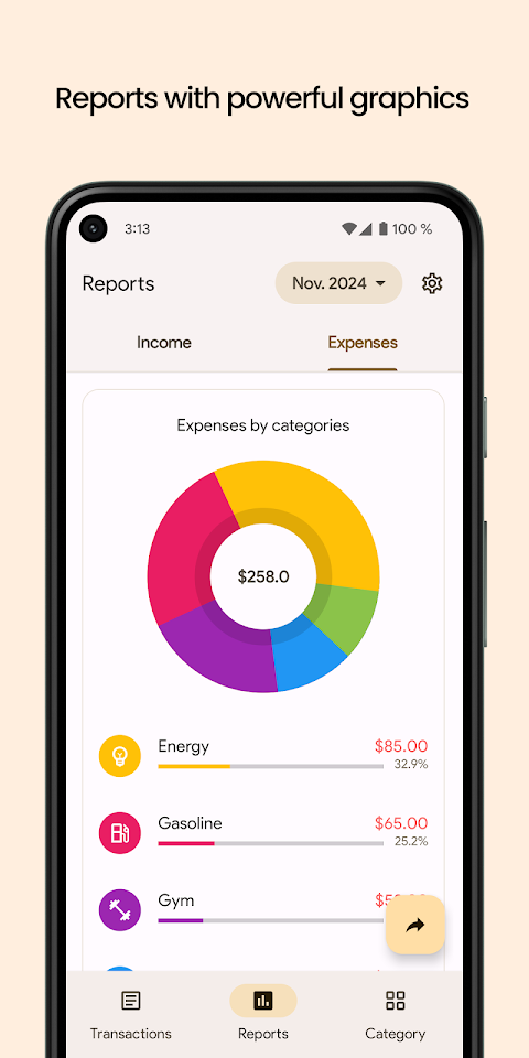Finance Pro: Expense control screenshot