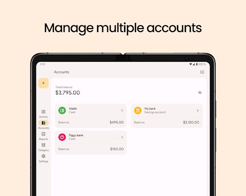 Finance Pro: Expense control screenshot