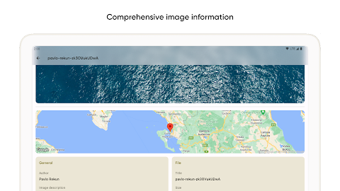 Graphie – EXIF editor screenshot