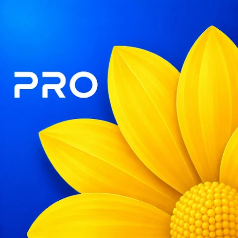 Gallery – Photo Video screenshot