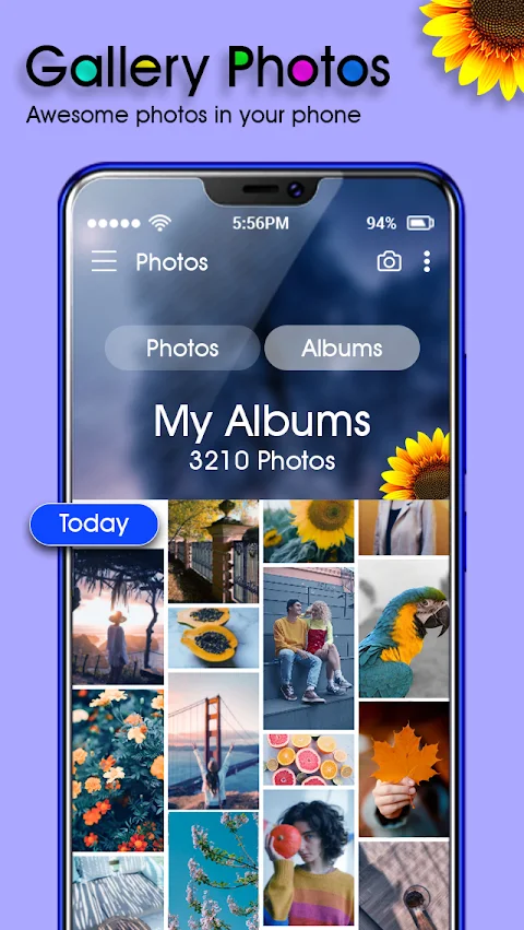 Gallery – Photo Video screenshot