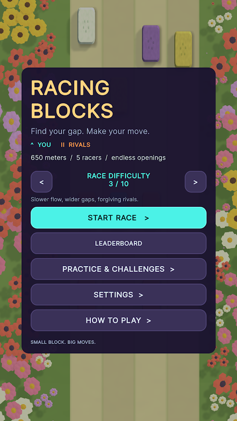 Racing Blocks screenshot