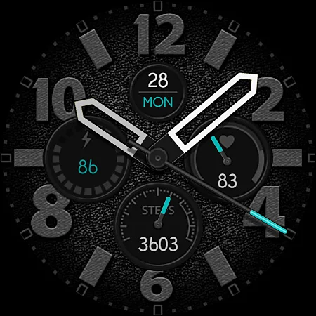 Vary Hands Graphite Watch Face screenshot