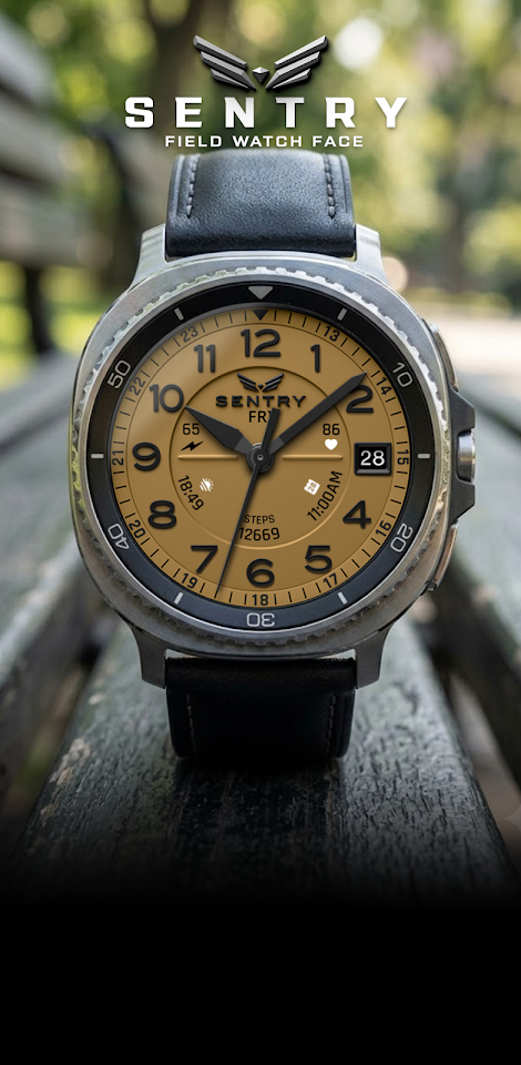 BLZ SENTRY – Field Watch Face screenshot