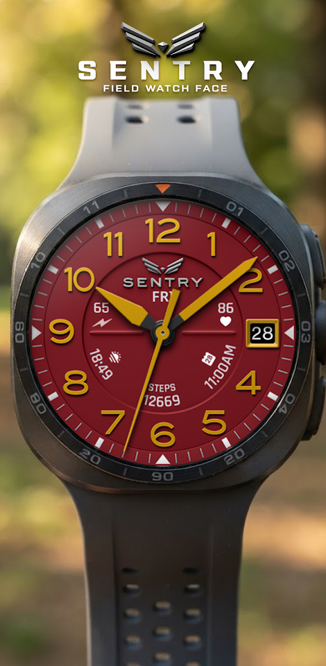 BLZ SENTRY – Field Watch Face screenshot