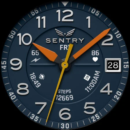 BLZ SENTRY – Field Watch Face screenshot