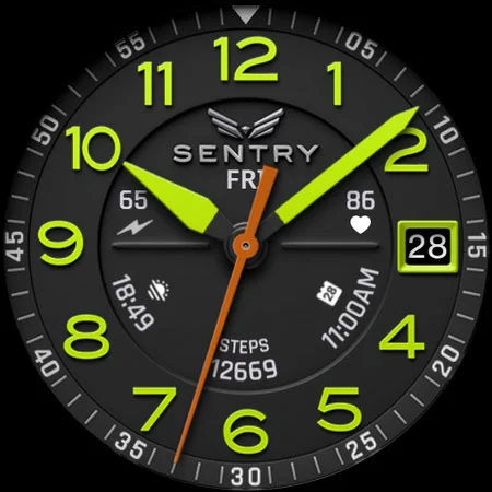 BLZ SENTRY – Field Watch Face screenshot