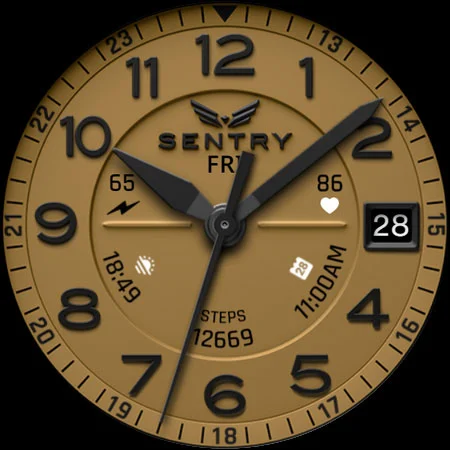 BLZ SENTRY – Field Watch Face screenshot