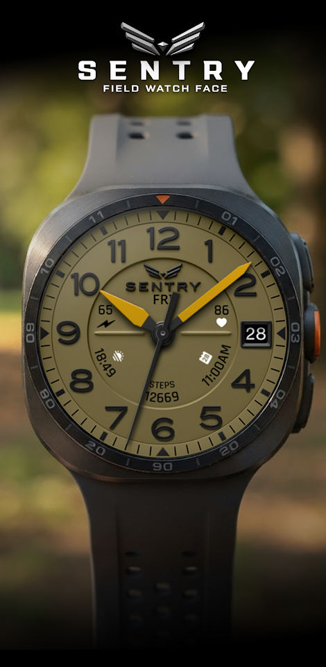 BLZ SENTRY – Field Watch Face screenshot
