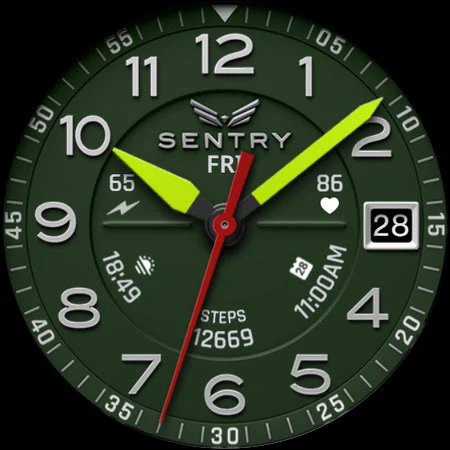 BLZ SENTRY – Field Watch Face screenshot