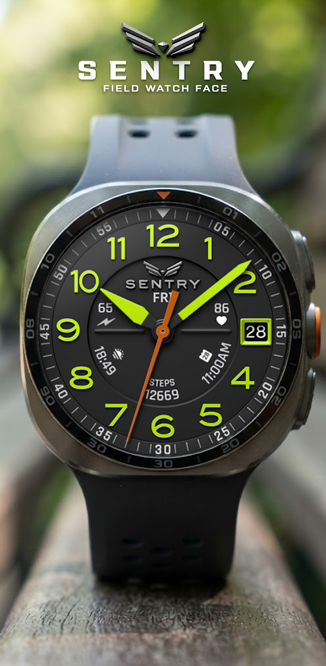 BLZ SENTRY – Field Watch Face screenshot