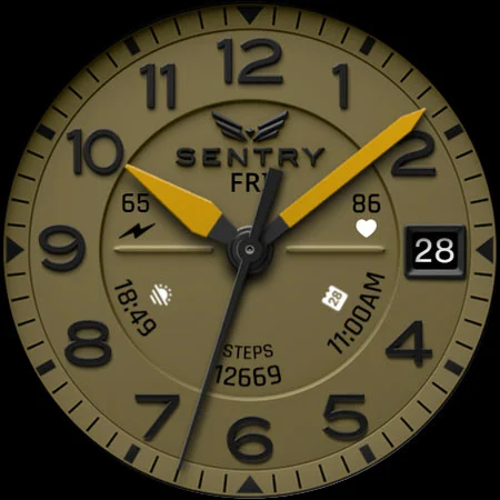 BLZ SENTRY – Field Watch Face screenshot