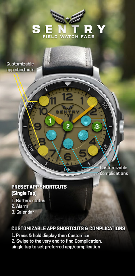 BLZ SENTRY – Field Watch Face screenshot