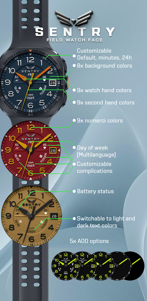 BLZ SENTRY – Field Watch Face screenshot