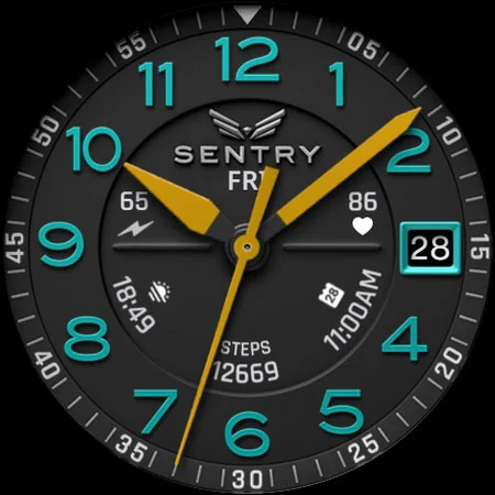BLZ SENTRY – Field Watch Face screenshot
