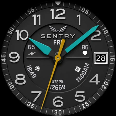 BLZ SENTRY – Field Watch Face screenshot